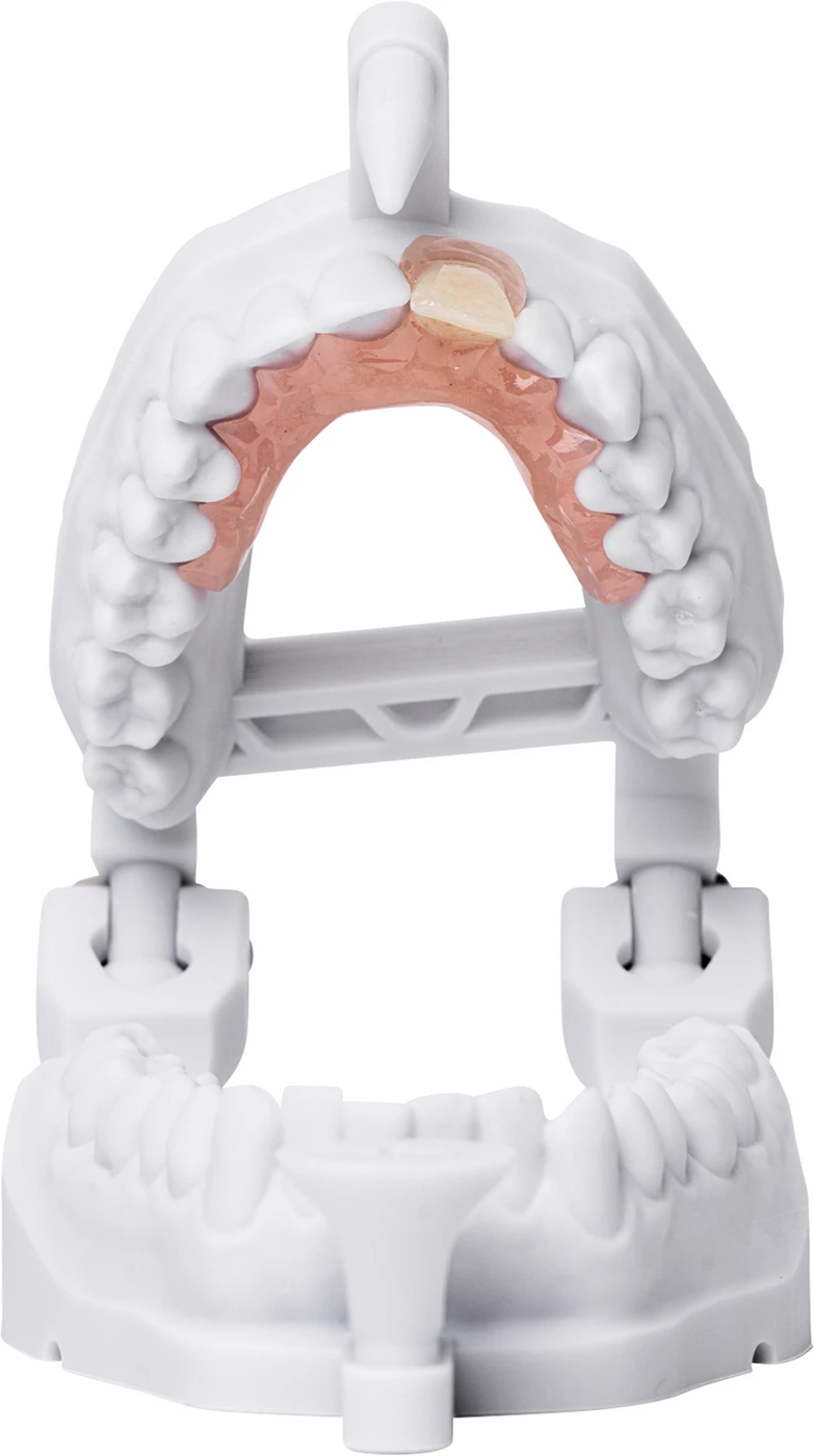 FREEPRINT® denture flex Flasche 1 kg Kunststoff 385 nm, pink-transparent