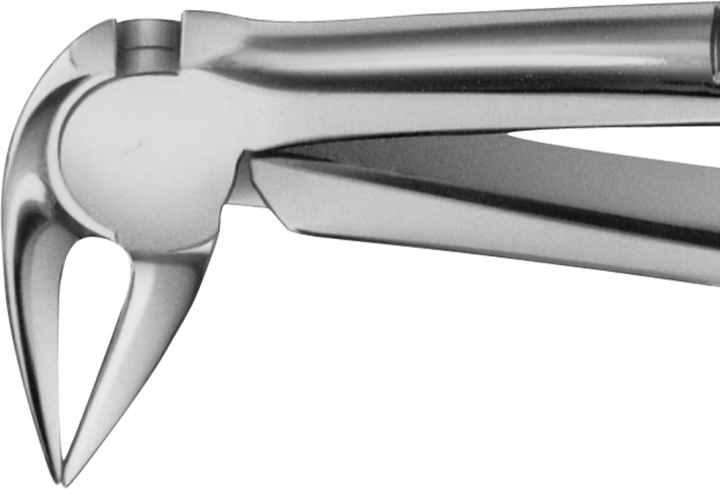 Anatomica-Zahnzange nach Feiner Stück DG729R, für untere Wurzeln, mit besonders langem Maul