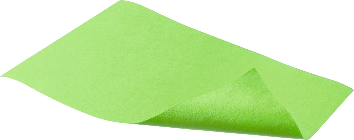 Dental Tray-Einlagen Karton 5 x 250 Stück 28 x 36 cm, grün