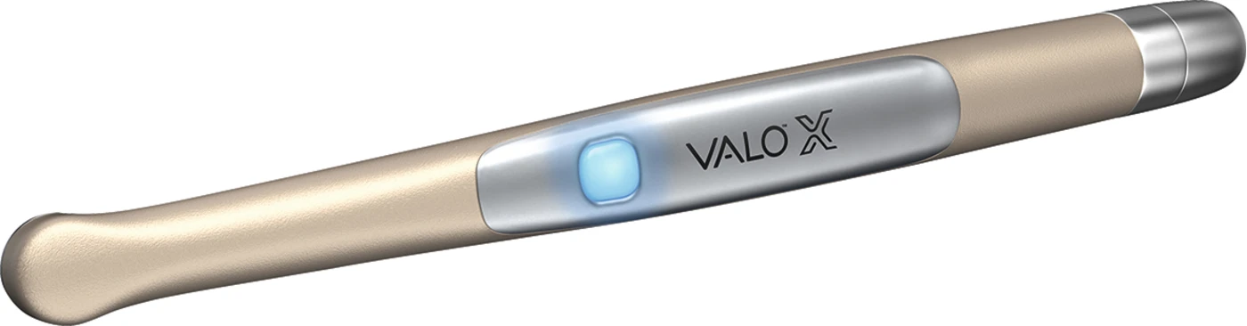 VALO™ X Stardust Gray Kit VALO X LED-Polymerisationsleuchte inklusive Zubehör