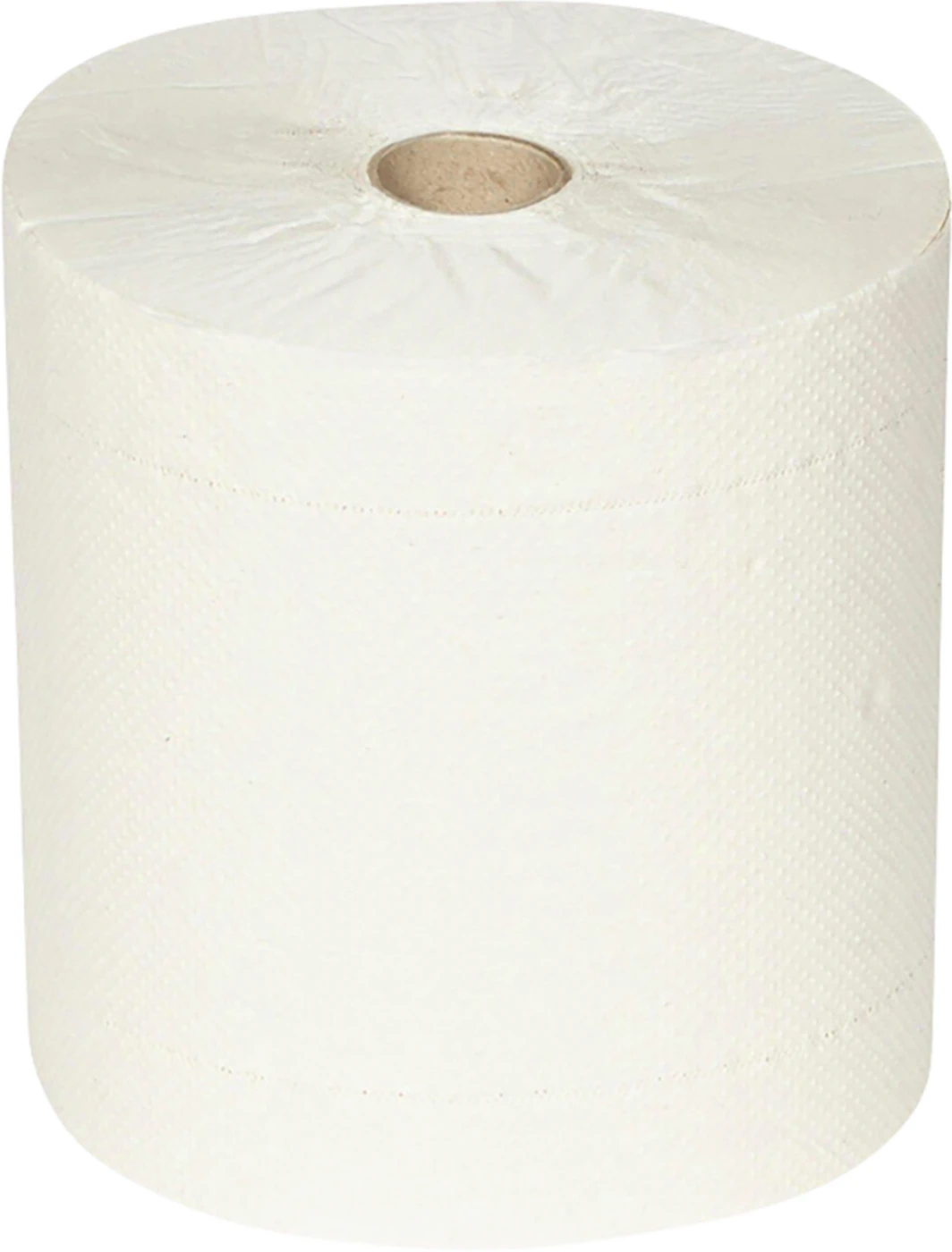 HOSTESS NATURA Rollenhandtücher Packung 6 Stück